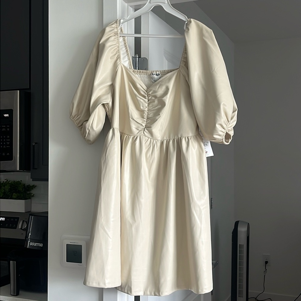 Arula Faux Leather Dress